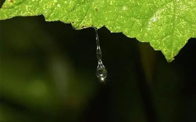 uv打印机保湿能够起到哪些作用？